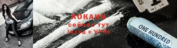 дживик Алзамай