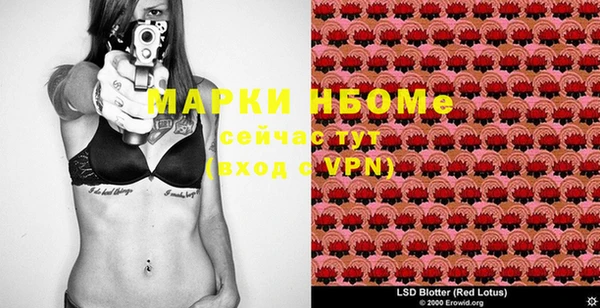 дмт Алексеевка